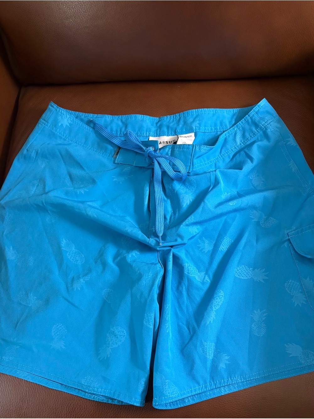 Raya Sun Blue Pineapple Shorts